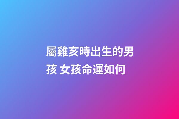 屬雞亥時出生的男孩 女孩命運如何